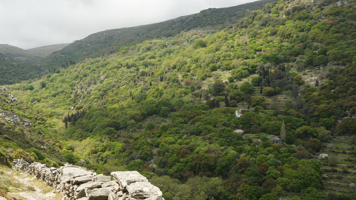 andros route no 10 vanglouk androsfilm (3)