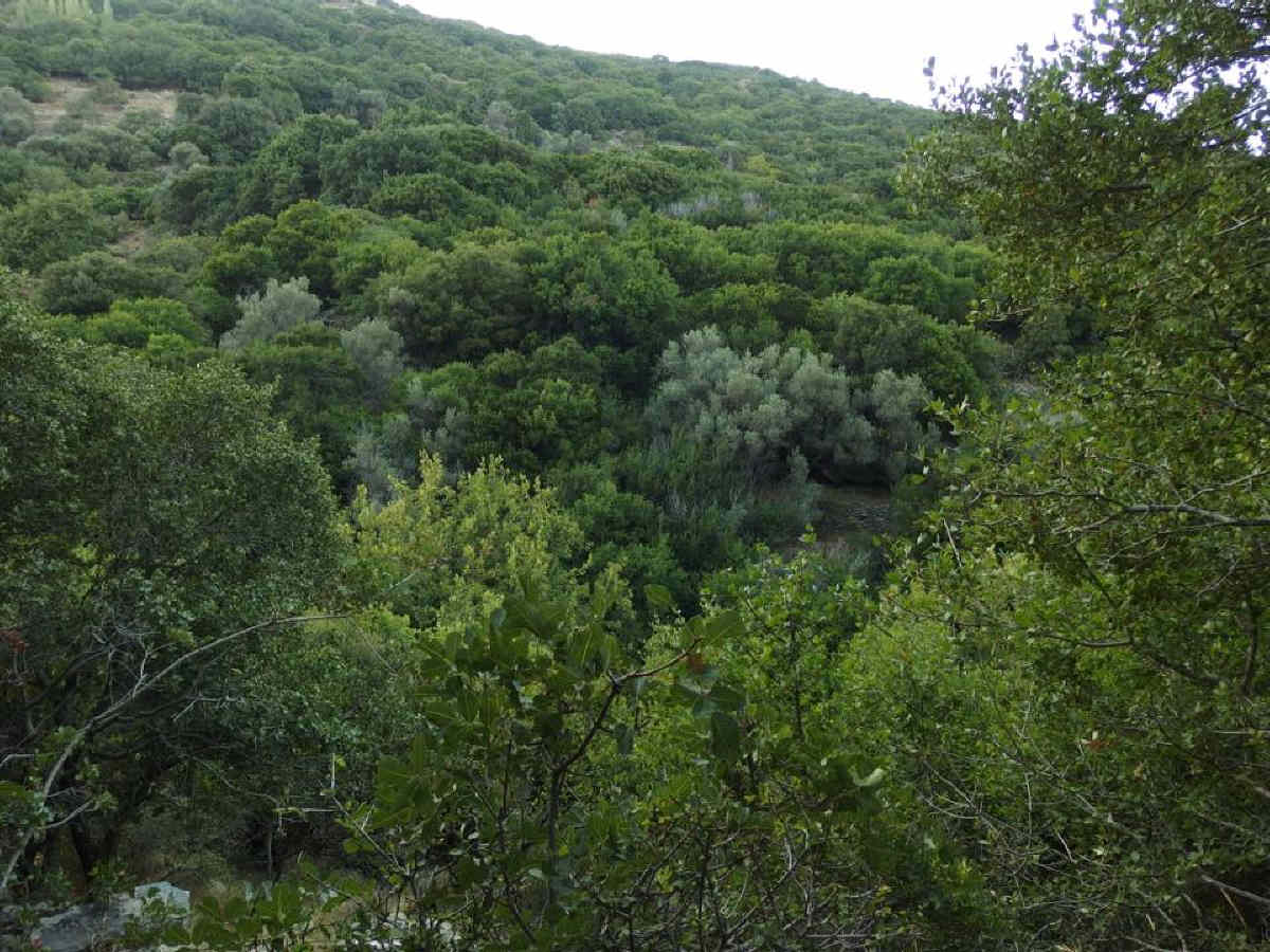 athina kyrtata in andros routes trail no 10 androsfilm 11 august 2016 vanglouk (5)_1